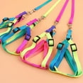 thumbnail image 3 of Kiplyki Nylon Pet Cat Dog Kitten Adjustable Colorful Harness Lead Leash Collar Belt, 3 of 3