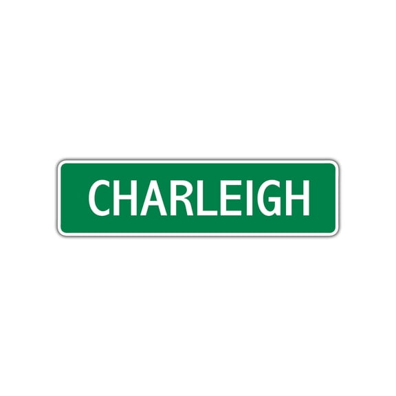 Charleigh Girls Children Name Letter Printed Indoor Outdoor Unique Wall Novelty Plaque Decoration Label Aluminum Metal Sign 4"X18"