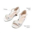 thumbnail image 3 of BURUDANI Girls Dress Sandals with Ankle Strap T-Strap Low Heel Pumps for Little & Big Kids, 3 of 7