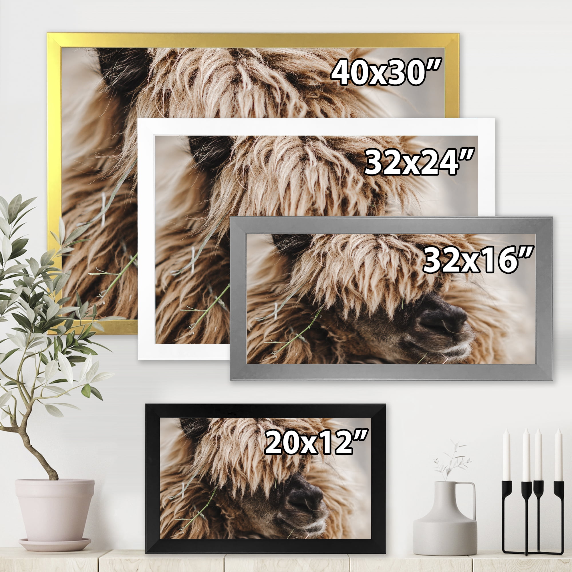 Designart 'Close Up Of Fluffy Curly Alpaca' Farmhouse Framed Art Print