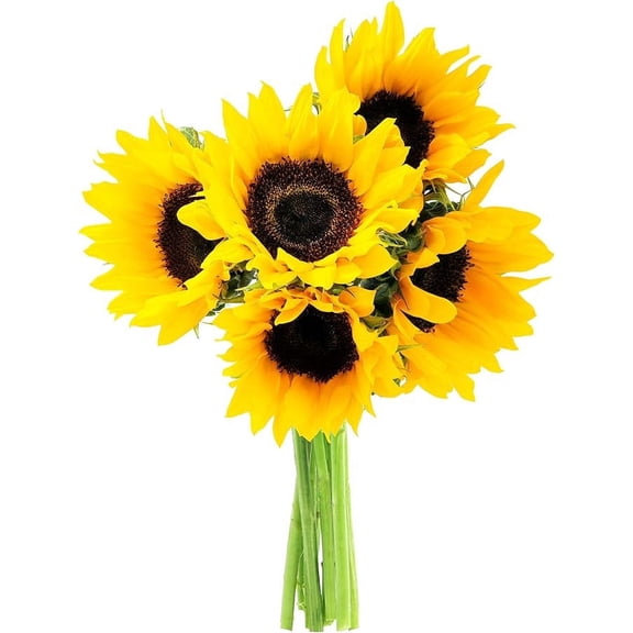 KaBloom : 10 Yellow Sunflowers, Next-Day Delivery, Gift for Every Occasion.