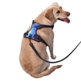 thumbnail image 2 of Fotbe Red And Blue Fire Dragon Arnés para Perro con Estampado –Chaleco Ajustable Acolchado con Asa de Control para Perros Grandes-Small, 2 of 6