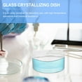 Glass Crystallization Dish Experiment Supply Home Laboratory Tool