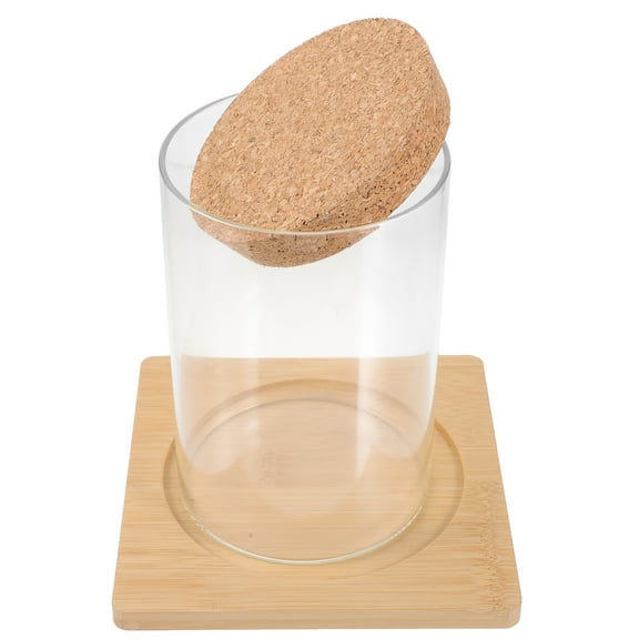 FENGGUIQU Transparent Glass Terrarium Jar for Indoor Plant Display, Storage, and Decorative Landscape Container