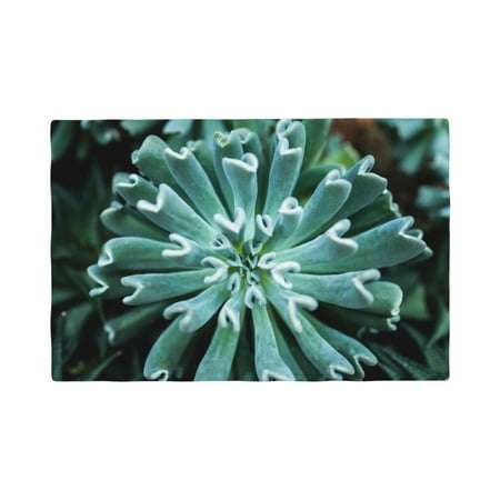 

Placemats Set of 4 Teal Cactus Place mats for Dining Table Indoor/Outdoor Cute Heat Resistant Washable Table Mats(18 x 12 )