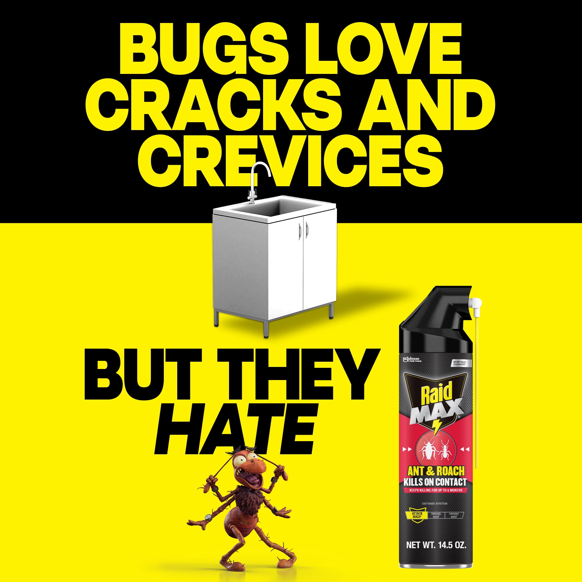 Raid MAX Indoor Ant and Roach Insecticide, 14.5 oz
