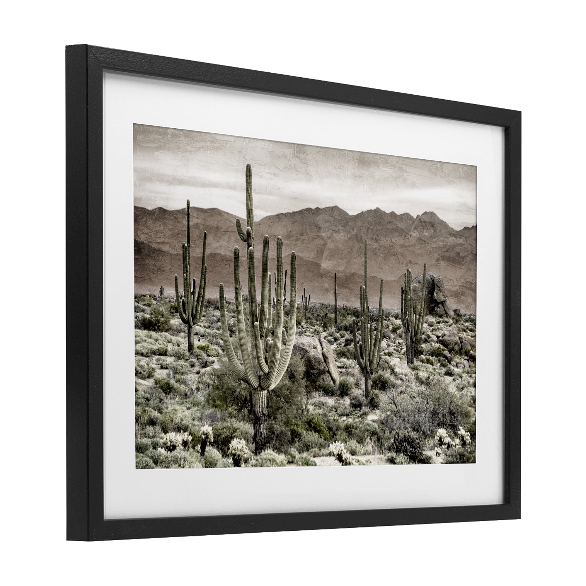 Stupell Industries Desert Land Cacti Wilderness Black Framed Print Under Glass, design by Kim Allen