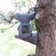 thumbnail image 3 of Adornos de resina de animales Luces solares de koala Adornos creativos de decoración de jardín Luces solares de resina para colgar en el árbol, 3 of 5