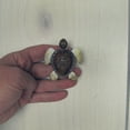 thumbnail image 4 of Sea Turtle Drawer Pull Screw Knob Kitchen Bathroom Cabinet Hardware Nautical Beach House Decor, 4 of 6