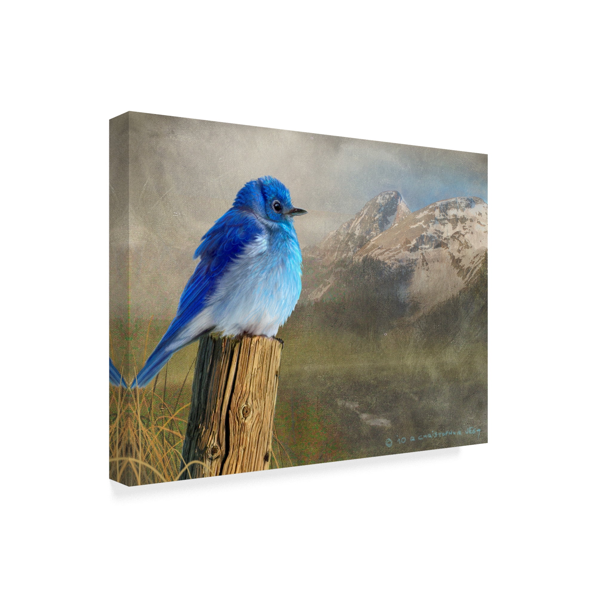Trademark Fine Art 'Mountain Blue Birds' Canvas Art by Chris Vest