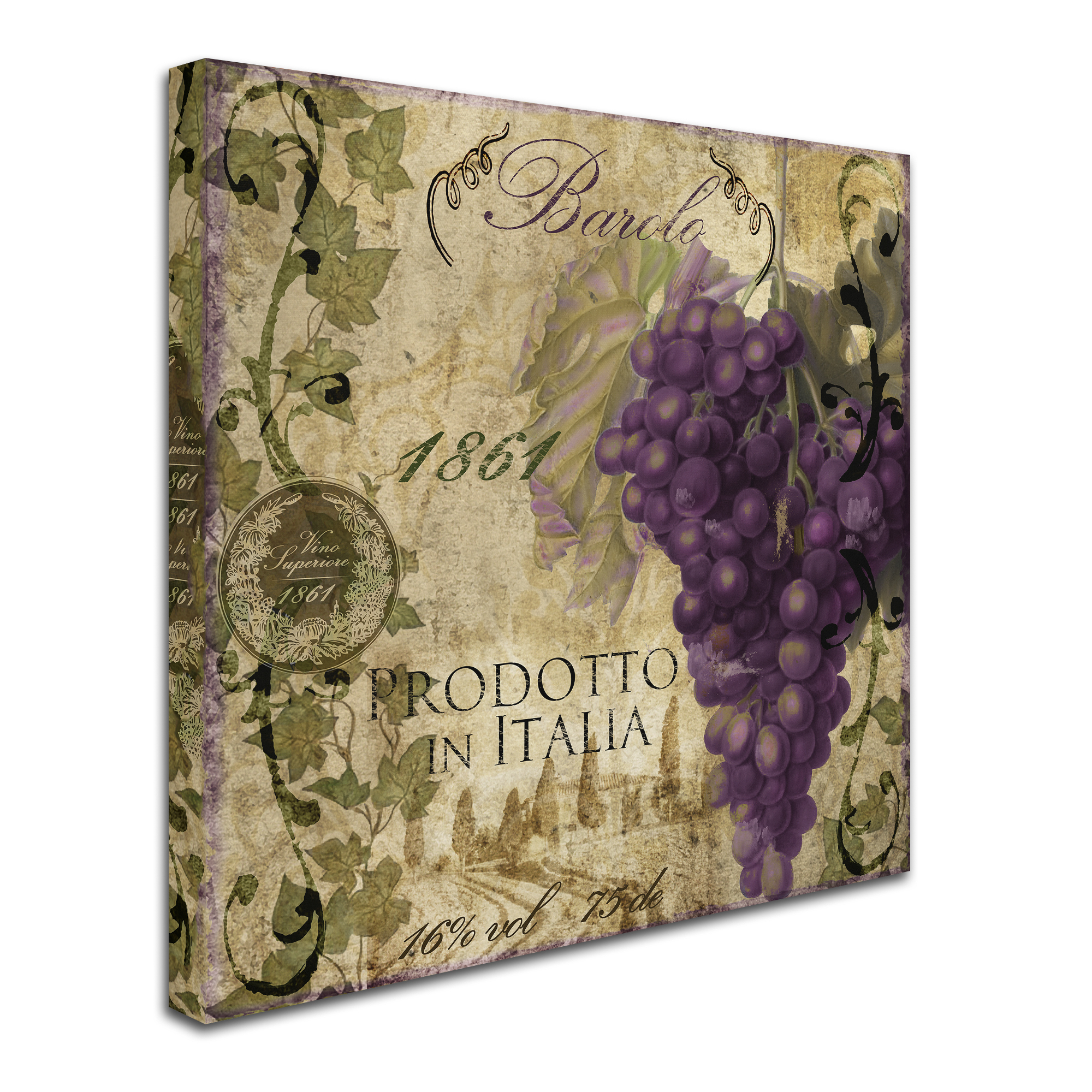Trademark Fine Art "Vino Italiano II" Canvas Art by Color Bakery