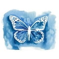 thumbnail image 3 of Popp, Grace 14x12 Black Modern Framed Museum Art Print Titled - Butterfly Inkling I, 3 of 5