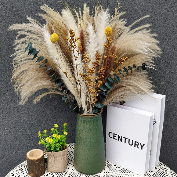 Jinsinto Dried Flowers, Natural Pampas Grass-7 Different Types of Dried Eucalyptus Decoration