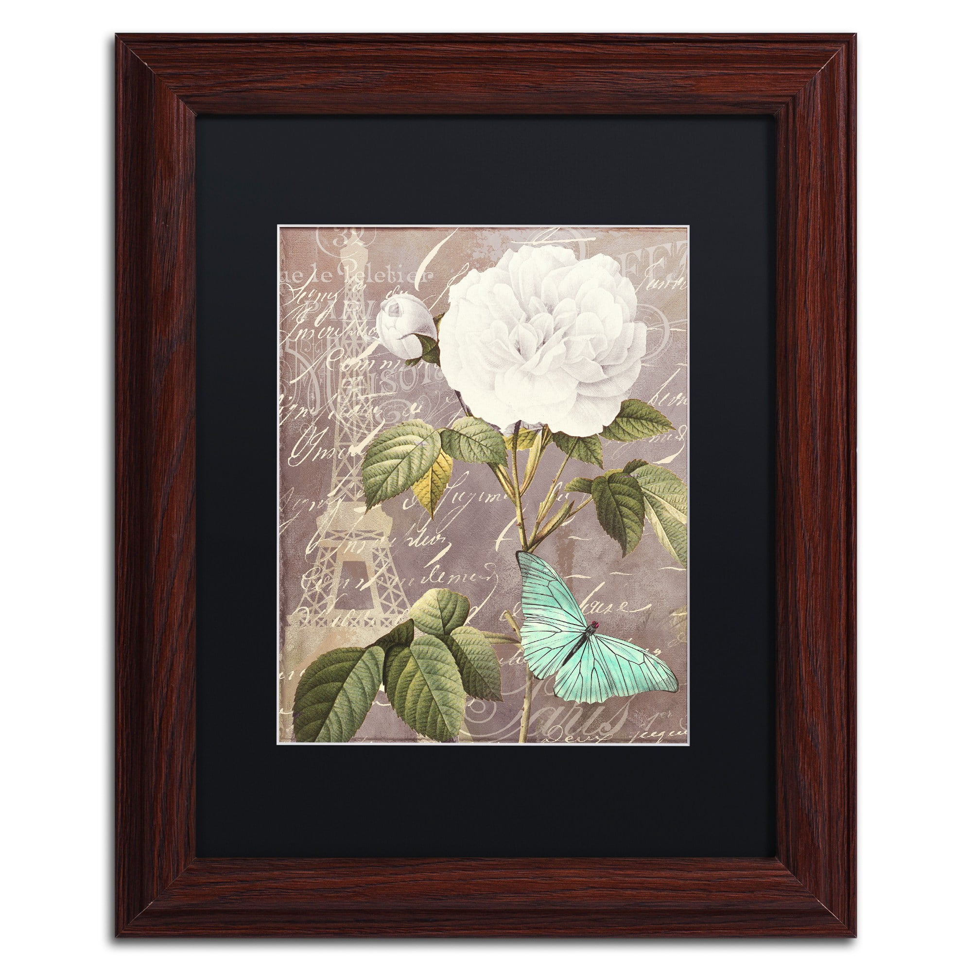 Trademark Fine Art "White Rose" Canvas Art by Color Bakery, Black Matte, Wood Frame