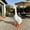 White#, variant on Mini White Goose Statue, Porch Goose Garden Décor, Vibrant and Clean Painted Goose Feet, Outdoor Decorative Figurine for Garden, Patio, Entryway Accent
