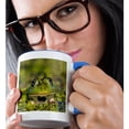 thumbnail image 2 of 3dRose, Romaina - Edible Frog in the Danube Delta in duckweed, 15oz Two-Tone Blue Mug, 2 of 7