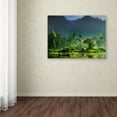 thumbnail image 3 of Trademark Fine Art 'Painting Of Nature' Canvas Art by Hardibudi, 3 of 3