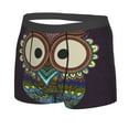 thumbnail image 2 of Fotbe Boho Owl Men’s Total Support Pouch Boxer Briefs, X-Temp Cooling, Moisture-Wicking Underwear, Regular, Long-leg and Trunk-Small, 2 of 9