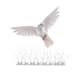 thumbnail image 1 of 10 piezas de acero inoxidable anti-pájaros espina repelente de aves palomas jardín espanta pájaros, 1 of 3