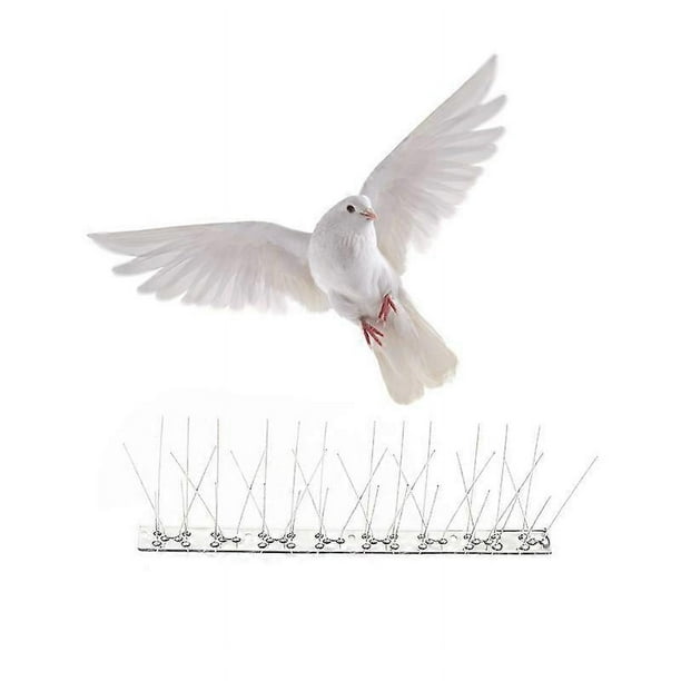 10 piezas de acero inoxidable anti-pájaros espina repelente de aves palomas jardín espanta pájaros