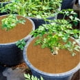 thumbnail image 3 of Coconut Mulch Mat Plants Protector Mat Cover 20cm 6 pcs, 3 of 5