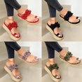thumbnail image 4 of Funie Fashion Women Flowers Decor Sandals Toe Loop Flip Flops Slippers Platform Shoes, 4 of 8