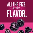 thumbnail image 2 of IZZE Sparkling Juice Beverage Blend, Blackberry, No Sugar Added, 8.4 FL OZ, 24 Cans, 2 of 9