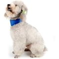 thumbnail image 5 of Collares refrescantes YOITEA para perros, bandana de hielo, bufanda refrescante para el cuello, gel no tóxico, cómodos y ajustables, para relajarse en verano, alivia el estrés por calor y el jadeo., 5 of 5
