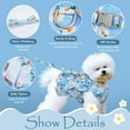 thumbnail image 3 of Dog Dress Harness Vest with Leash, No Pull Cat Pet Floral Harness Leash Set, Cute Puppy Fruit Outfit Clothes with Bow, Mesh Princess Costume for Outdoor Walking, 3 of 8