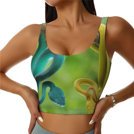 Qokaie Blue Viper And Yellow Viper Snake Pattern Womens Scoop Neck Sports Bra Breathable Workout Vest Padded U Back Medium Impact Fitness Gym Yoga Bra Workout Crop Top-XX-Large