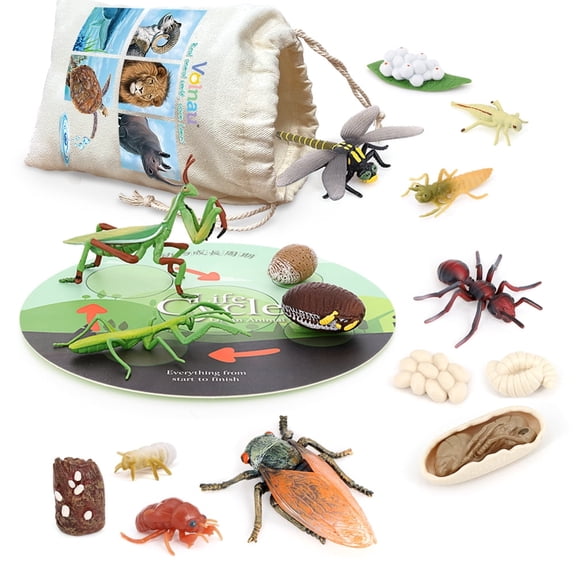 Volnau Animal Figurines Toys 16PCS Life Cycle Figure Set for Toddler Kids Preschool Educational Prop