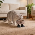 thumbnail image 3 of Bol de Nourriture Surélevé Station d'Alimentation en Acier Inoxydable, et Bol de Nourriture pour Chat une Assiette Surélevée en Acier Inoxydable pour Réduire la Pression sur le Cou pour Petits Chiens Accessoires Batterie pour la Pluie des Chiens, 3 of 3