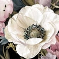 thumbnail image 2 of Robinson, Carol 12x12 Black Ornate Wood Framed with Double Matting Museum Art Print Titled - Anemone Study II, 2 of 4