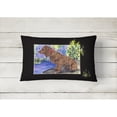 thumbnail image 2 of Caroline's Treasures SS8065PW1216 Boykin Spaniel Decorative   Canvas Fabric Pillow, 12H x16W, multicolor, 2 of 3