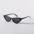 thumbnail image 1 of Gafas de sol de ojo de gato para mujer, gafas de sol de moda retro con montura pequeña para mujer, 1 of 5
