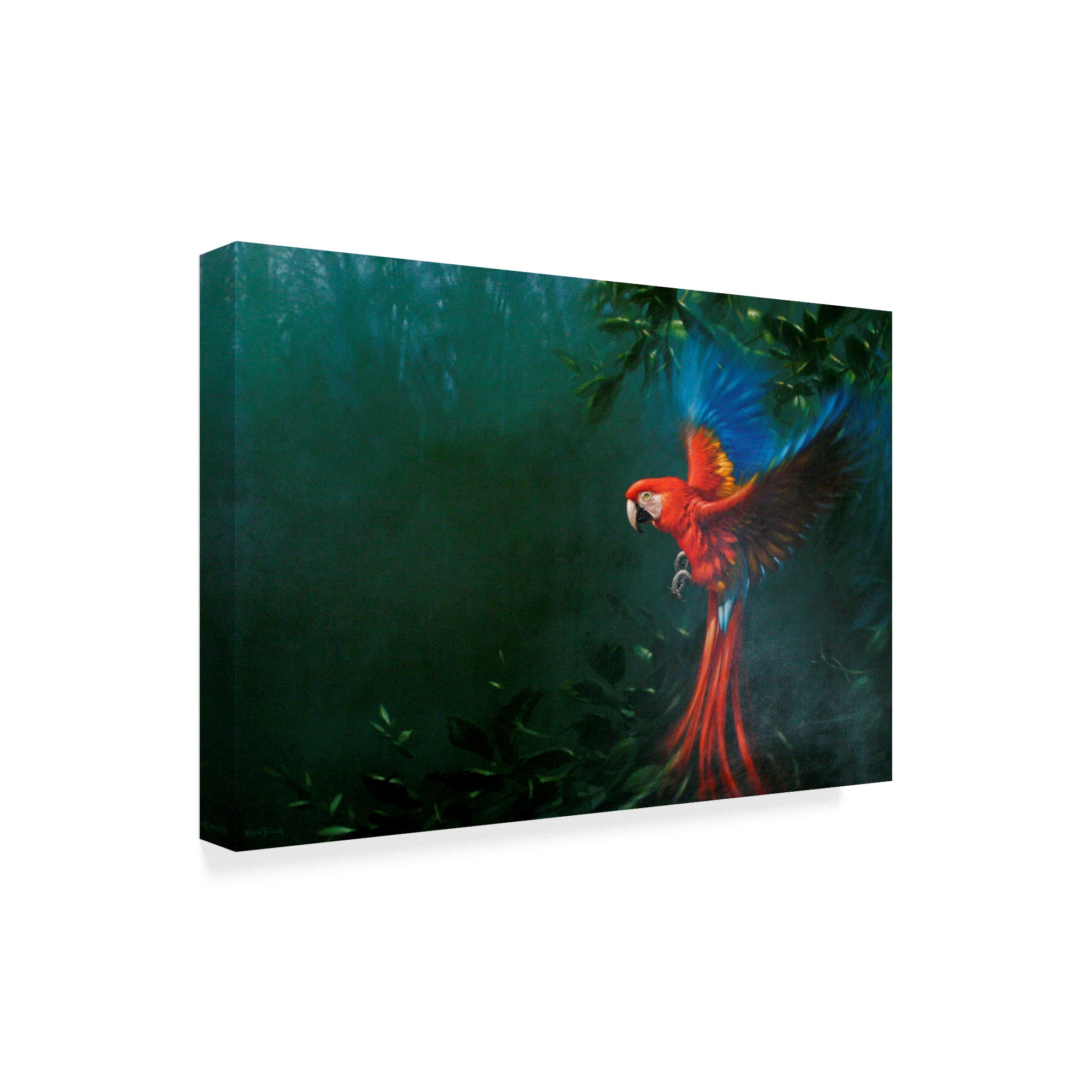 Trademark Fine Art 'Scarlet Macaw 2' Canvas Art by Michael Jackson