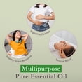 thumbnail image 5 of Pranarom Organic Aromaforce Peppermint Mini-Caps, 5 of 7