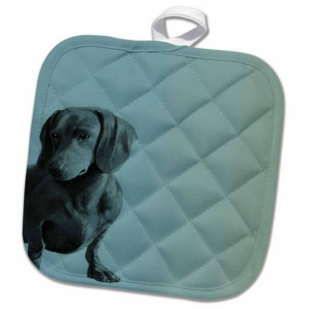 

3dRose Adorable Daschund Dog pets animals - Pot Holder 8 by 8-inch