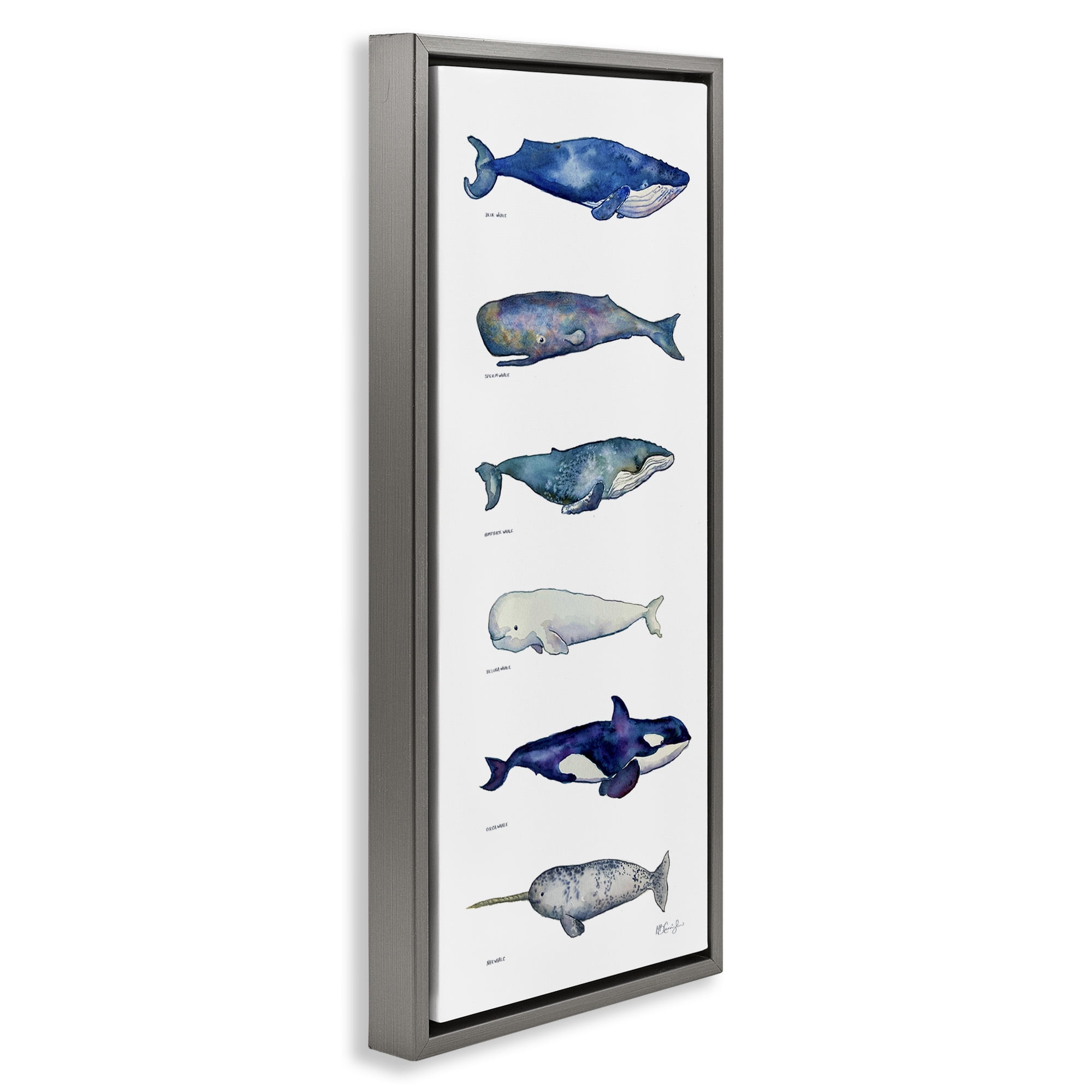 Stupell Industries Maritime Sea Life Chart Animals & Insects Painting Gray Floater Framed Canvas Art Print Wall Art, 11 x 25