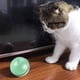 thumbnail image 3 of Pelota de juguete interactiva para gatos con luz LED, rotación de 360 grados, 3 of 4