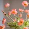 thumbnail image 2 of Ramo de flores artificiales DUYONE con 6 tallos de amapola y seda (6 unidades), 2 of 9