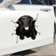 thumbnail image 5 of 1PCS Dog Car Stickers, 3D Labrador Car Decals Personalized Stickers Funny French Bulldog Car Stickers Realistic Dog Vinyl Window Sticker-20cmx20cm, 5 of 5