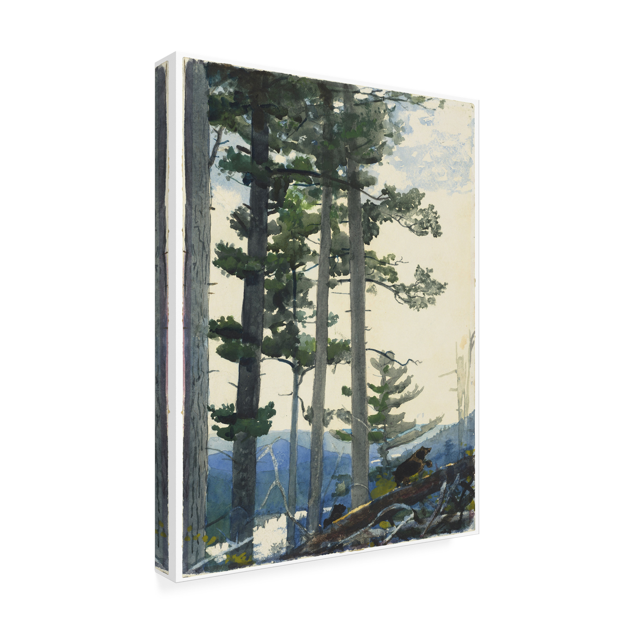 Homer 'Old Settlers' Canvas Art