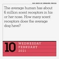 thumbnail image 4 of 365 Days of Amazing Trivia! Page-A-Day Calendar 2021 (Calendar), 4 of 5