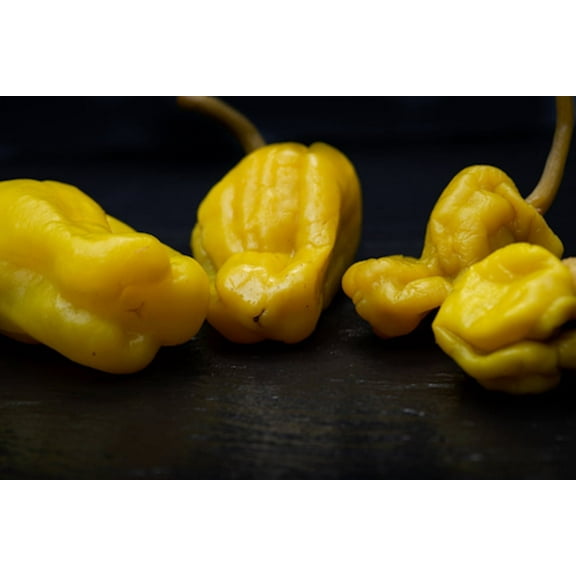 10 Heirloom Pepper Seeds- Golden Greek Pepperoncini -Sweet Flavor With a Mild Kick - Green To Yellow Vegetable Seed Pack