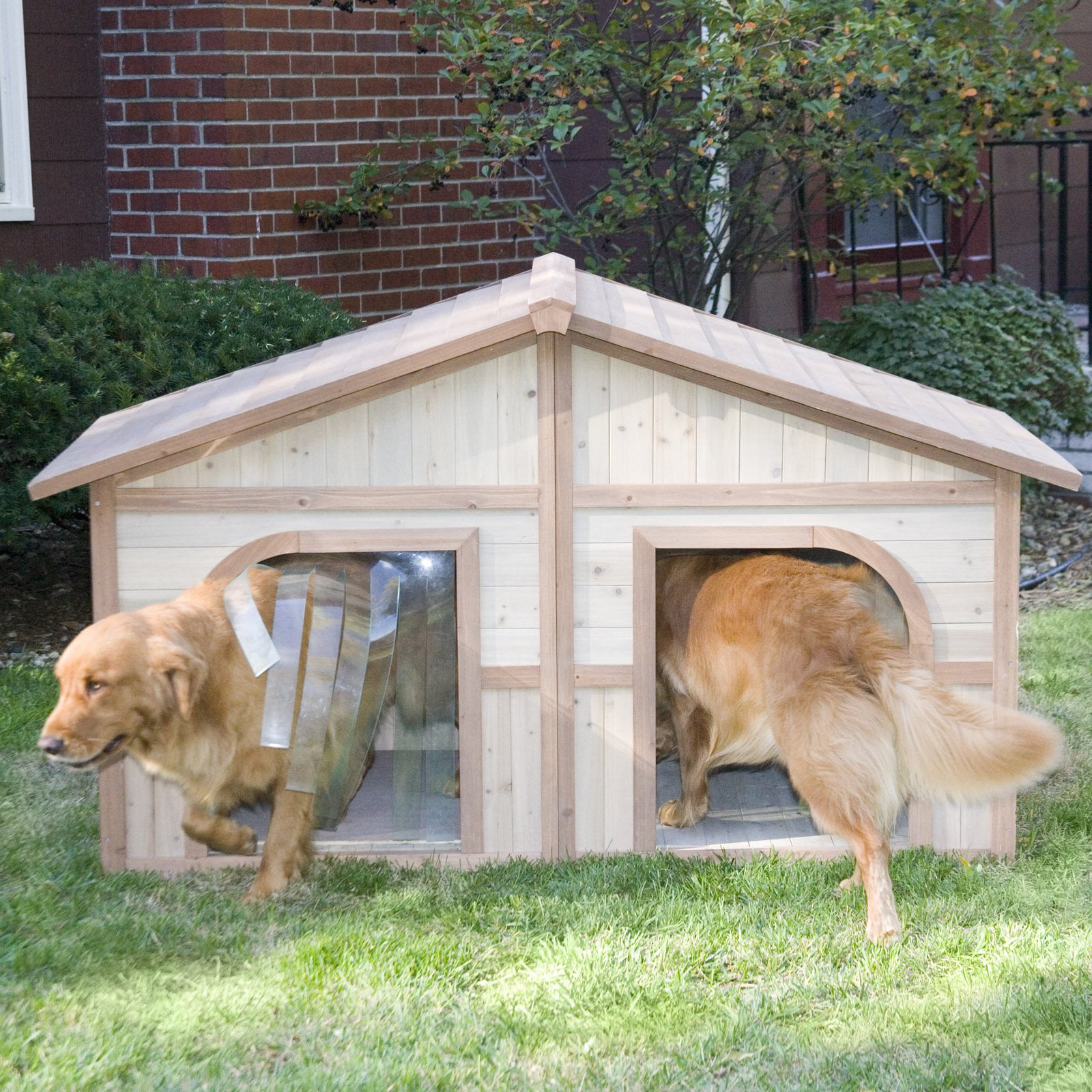 two dog house