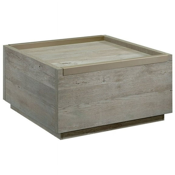 Pemberly Row 31" Square Storage Coffee Table in Mystic Oak