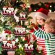 thumbnail image 3 of Adornos Navideños Con Cordón Survivor Family Ornament Christmas Tree Pendant Gift Para Amigos O Familiares Guardurnaity AP007352-01, 3 of 6