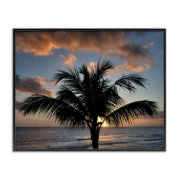 Stupell Industries Coastal Tropical Palm Photography Black Framed Giclee Art, 20 x 16, by Dennis Frates