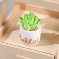 thumbnail image 3 of Miangastore 8pcs Mini Cactus Figurines Tiny Resin Potted Plants Simulation Mini Plant Set, 3 of 8
